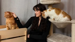 Wystarczyło jedno nagranie, by poruszyć serca. Dziś jej koty mają fanów