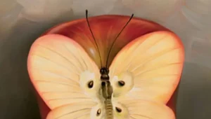 Co widzisz na tym obrazku?