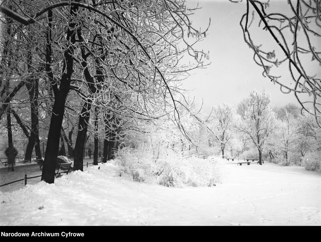 Plany w Krakowie w prawdziwie zimowej odsłonie Park pokryty grubą warstwą śniegu z drzewami o gałęziach oblepionych śniegiem, ławki widoczne w oddali oraz spokojne, zimowe niebo.