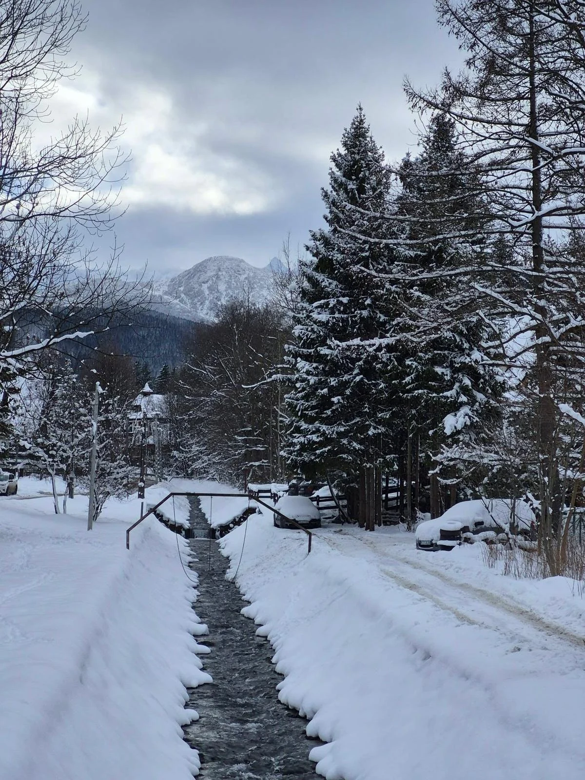 Zaśnieżony potok biegnący przez środek scenerii, po bokach otoczony wysokimi drzewami iglastymi i zaspami śnieżnymi, w tle ośnieżone góry pod szarym, pochmurnym niebem.