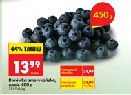 Borówka amerykańska