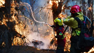 Z powodu ogromnej suszy w Argentynie spłonęły tysiące hektarów lasów