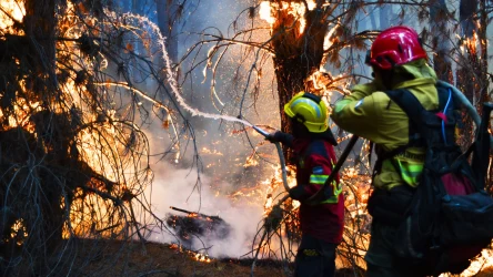Z powodu ogromnej suszy w Argentynie spłonęły tysiące hektarów lasów
