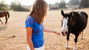 Zjadły przysmaki dla koni przed kamerą. W sieci zawrzało: "SOR na życzenie"