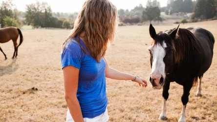 Czy końskie przysmaki powinny być jedzone przez ludzi?