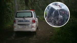 Tragiczny finał rodzinnej imprezy w Boliwii. Nastolatek uderzył w drzewo (zdj. ilustracyjne)