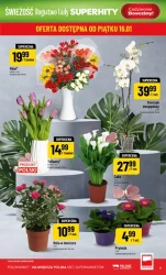 Codziennie coś taniej – POLOmarket