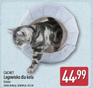 Лежак для кота Cachet