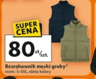 Чоловіча безрукавка