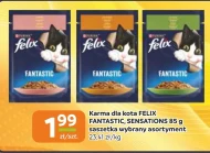 Karma dla kota Felix