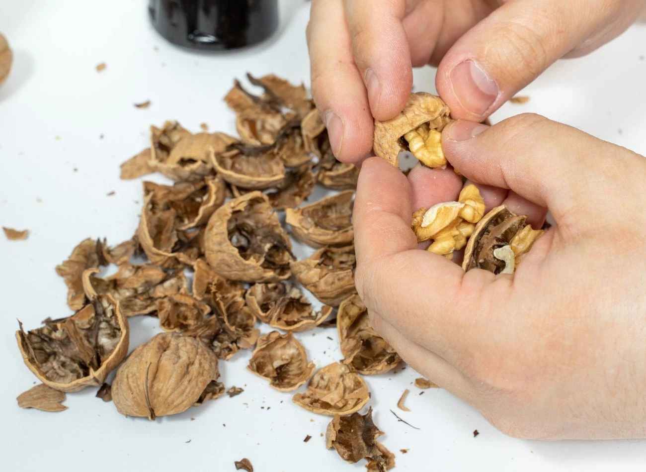 Suche, brązowe łupiny orzechów włoskich zawierają śladowe ilości juglonu (w porównaniu np