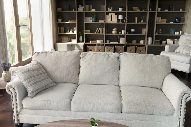 Pluskwy często wnosimy do domu na używanych meblach