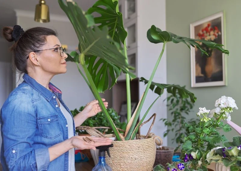 Istnieje wiele rodzajów nawozów, warto je dopasować do konkretnej rośliny.