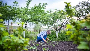 Podpowiadamy, jak zaplanować prace w ogrodzie w nadchodzącym sezonie.