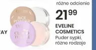 Порошок Eveline Cosmetics