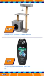 Promocja tygodnia - Action