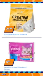 Promocja tygodnia - Action