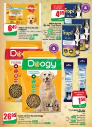 Tanio i smacznie na co dzień - Dino