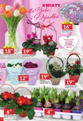 Moc procji - Twój Market