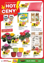 Hot ceny - Bricomarche