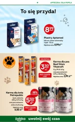 Zakupy, do których wracasz – Żabka