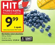 Borówka amerykańska Hit