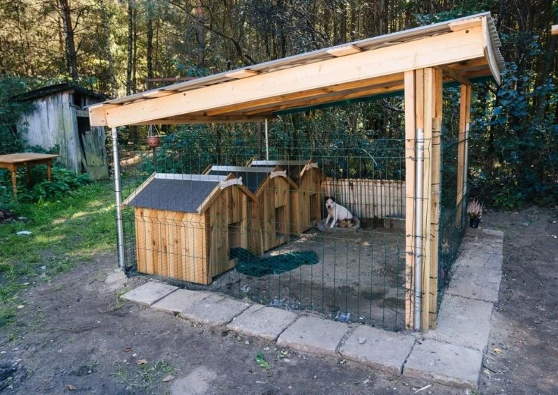 Nowe miejsce do życia zyskały również zwierzęta