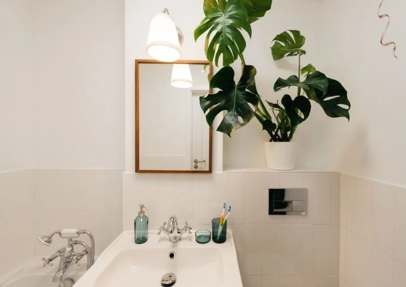 Teraz pomieszczenie stało się jasne i przestronne