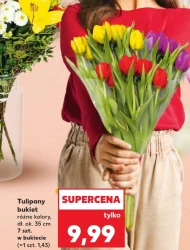 Букет тюльпанів Tulipany
