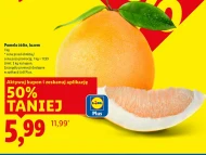 Pomelo Plus-Plus