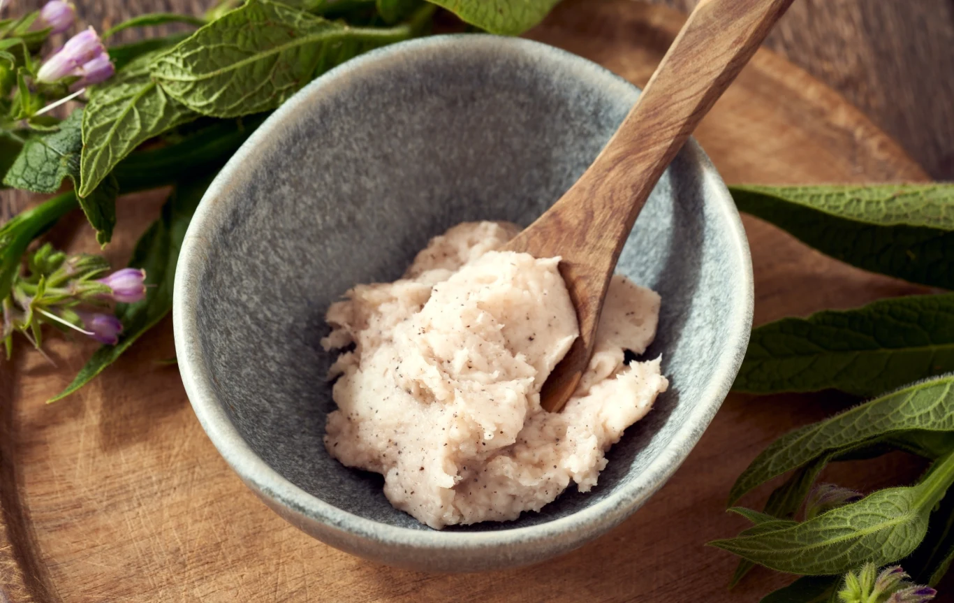 Żywokost zawiera kilka cennych substancji, dzięki którym możliwe jest jego regenerujące działanie