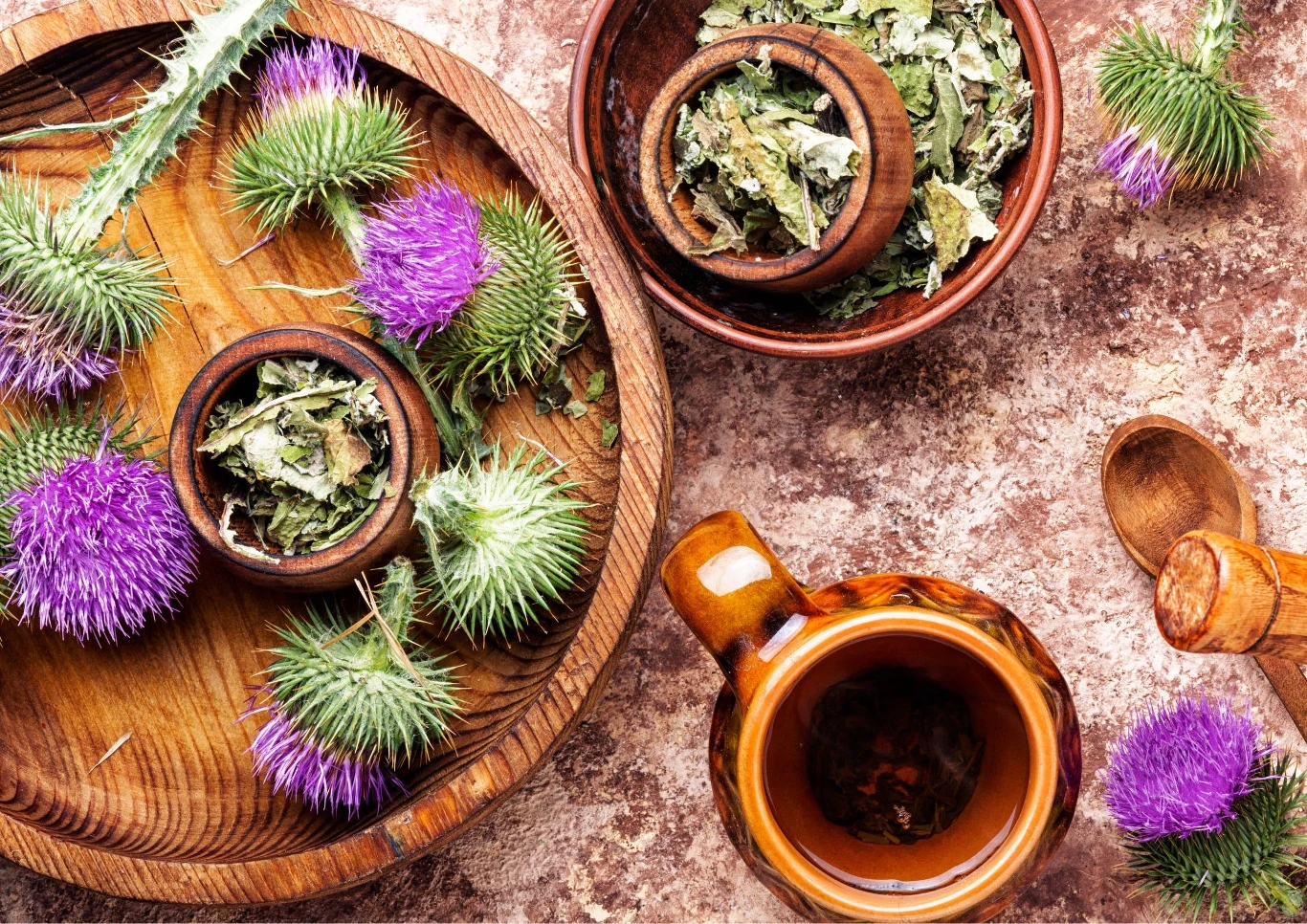 Ostrożeń można wykorzystać na wiele sposobów