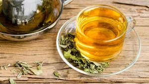 Apteka w ogrodzie: Zioła na ciągłe zmęczenie