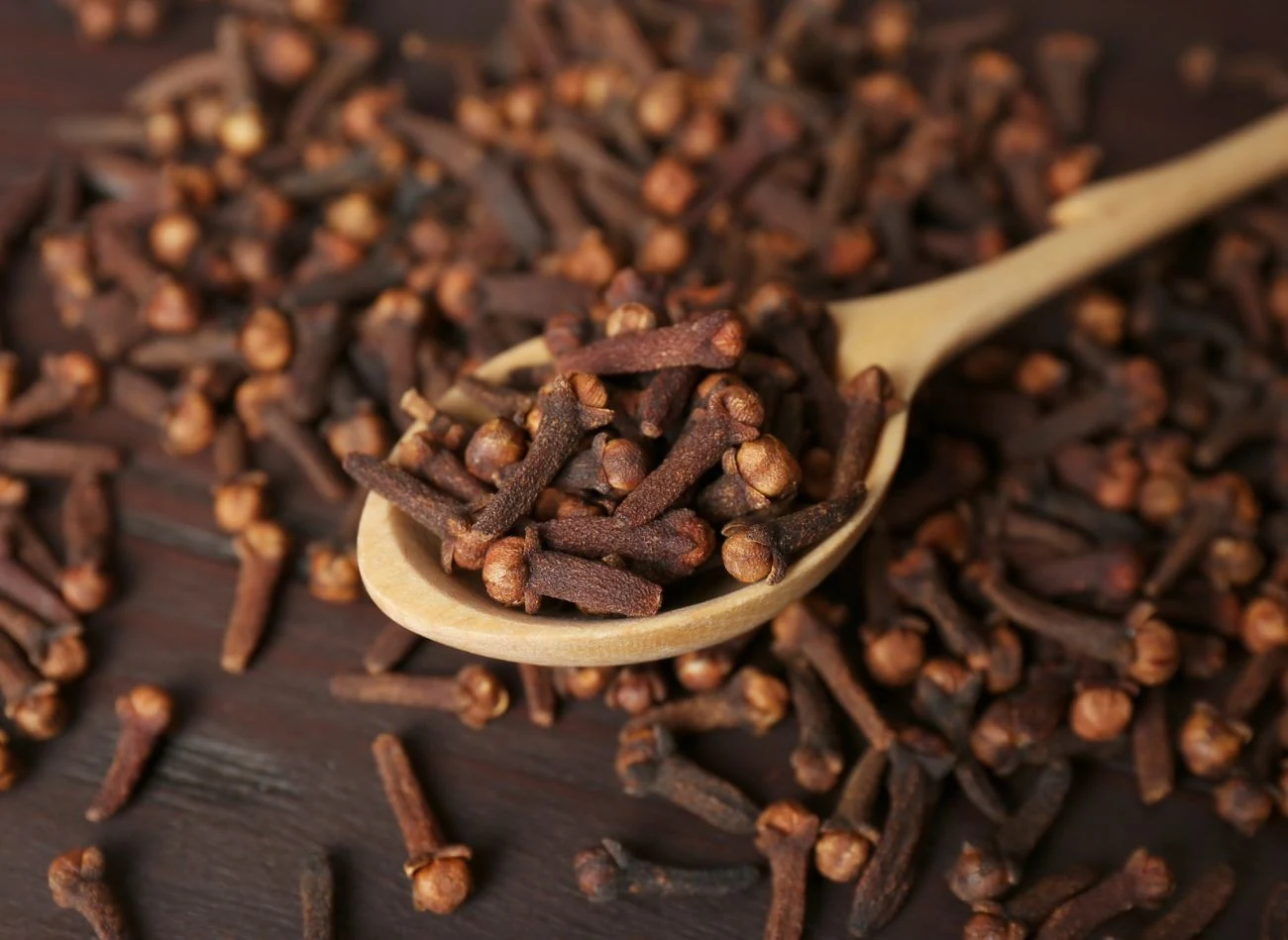 Olejek z goździków może łagodzić ból zęba, płukanka oczyszcza skórę głowy i stymuluje wzrost włosów. Fot. liudmilachernetska