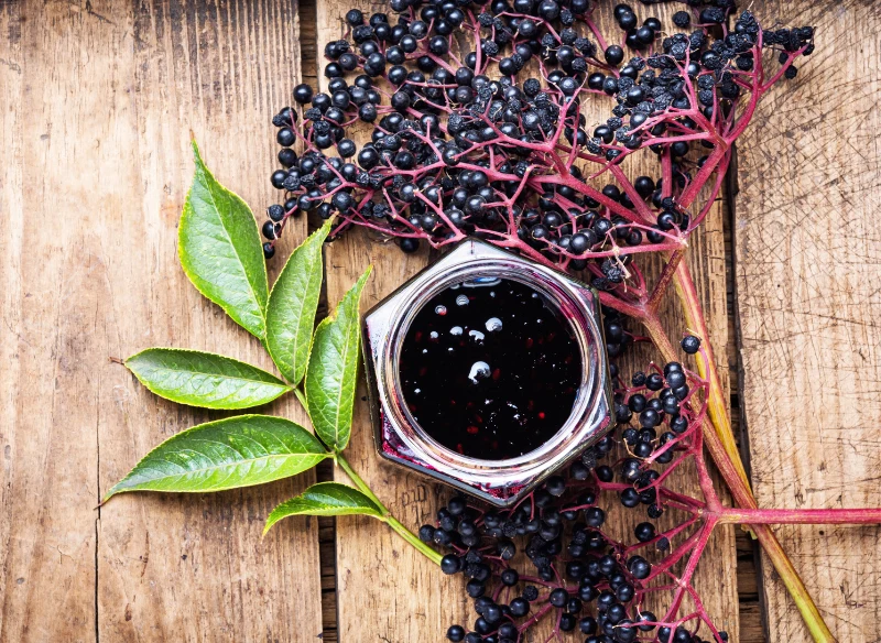 Bez czarny może być wsparciem w walce z migreną