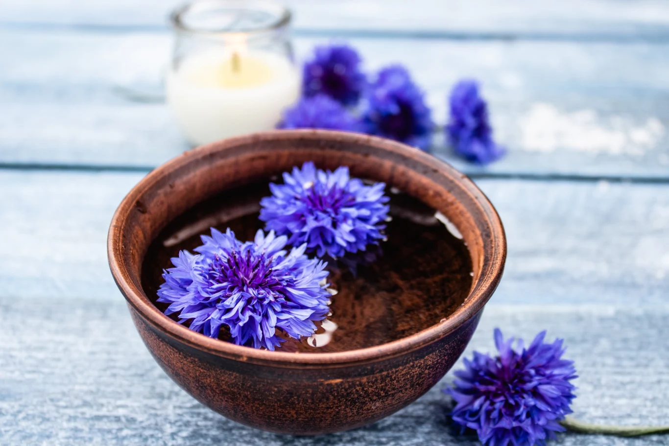 Kwiat chabra bławatka charakteryzuje się właściwościami odkażającymi, przeciwzapalnymi, moczopędnymi