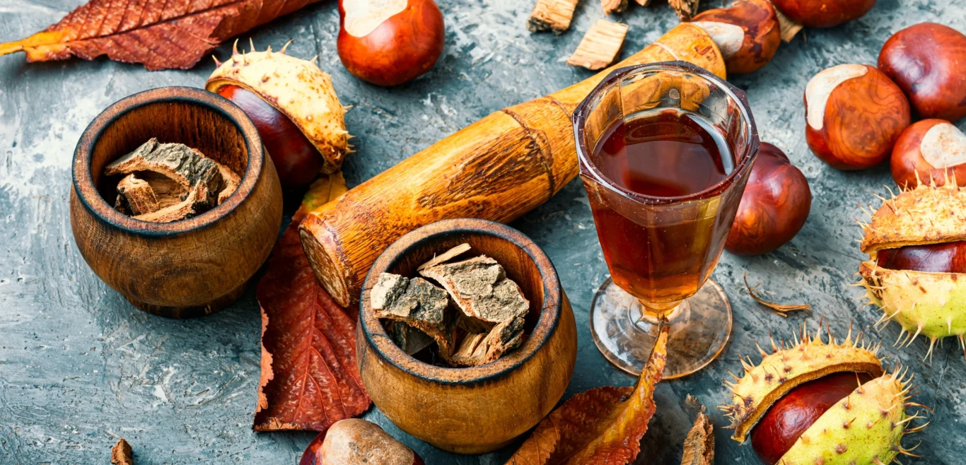 Nalewka z owoców kasztanowca to remedium na dolegliwości bólowe stawów i mięśni