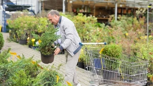 Sieć Jula apeluje do klientów o zwrot wadliwych klinów do ścinania drzew