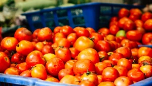 Kalendarz ogrodnika mówi jasno. Zrób teraz, plony będą wzorowe