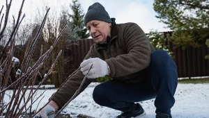 W styczniu sięgnij po tę rzecz z garażu. Te rośliny potrzebują twojej uwagi