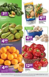 Świeże hity na dobry tydzień - Stokrotka Express