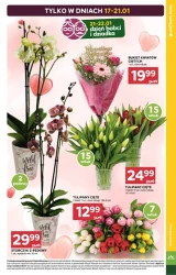 Tydzień pełen świeżości - Stokrotka