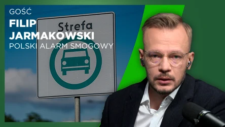 Dlaczego zawyżony poziom dwutlenku azotu powinien nas niepokoić?