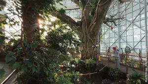 Oblicza Dubaju. Miasto przyszłości pełne rekordów