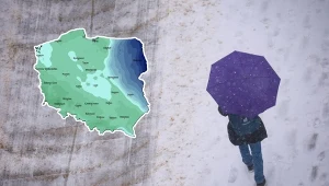 Odwilż zyskała przewagę. Mróz tylko na niektórych obszarach