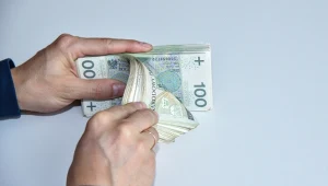 Polacy oszczędzają na emeryturę w ramach Pracowniczych Planów Kapitałowych.