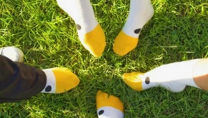 Jak śmieszne skarpetki zmieniają look?