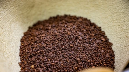 Czy nasiona wiesiołka są zdrowe? Kto powinien je spożywać?