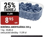 Borówka amerykańska