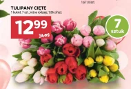 Букет тюльпанів Tulipany